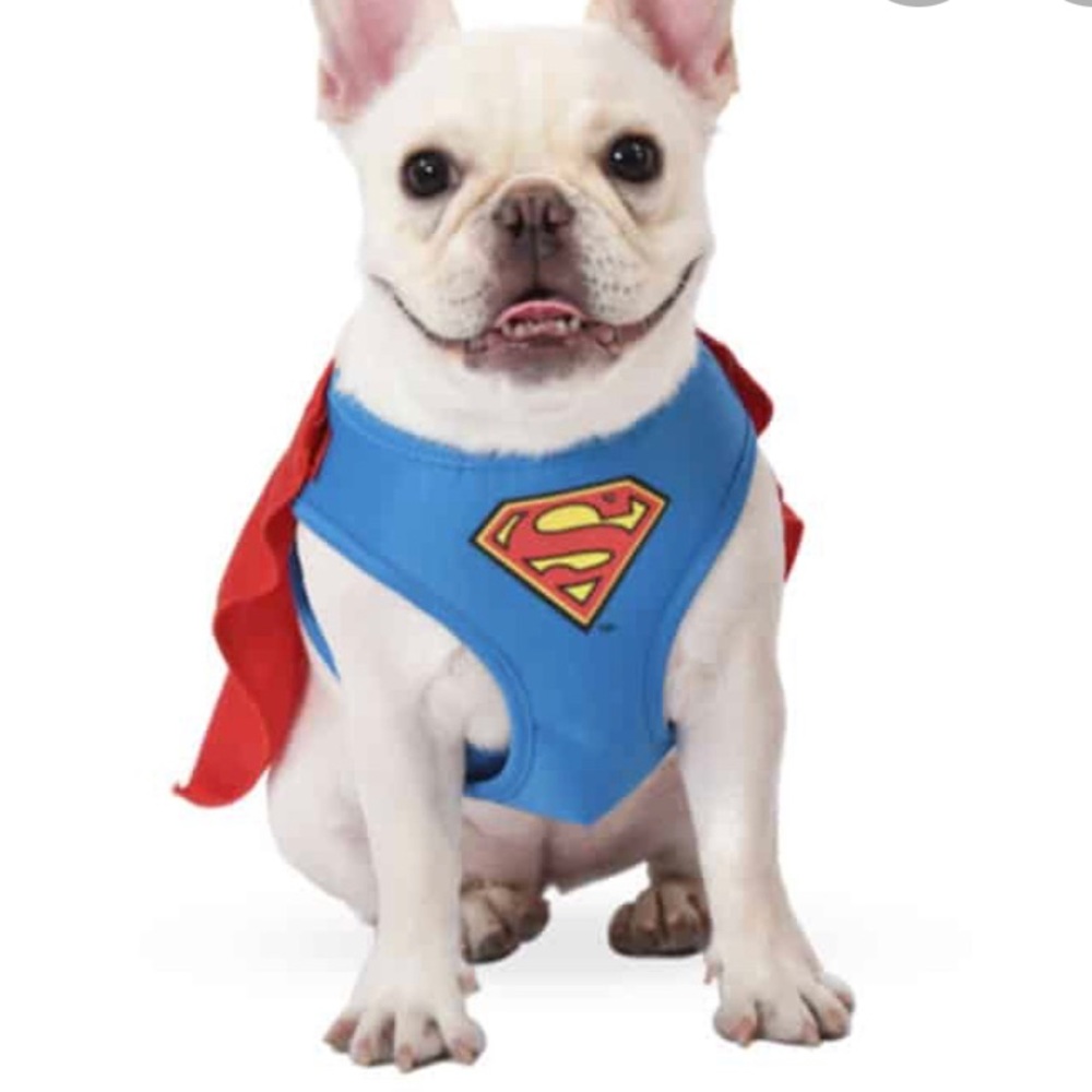 Superman Pet Harness